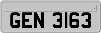 GEN3163