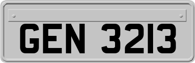 GEN3213