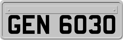 GEN6030