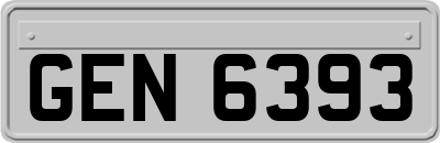 GEN6393