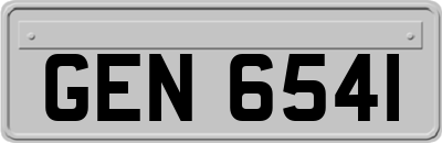 GEN6541