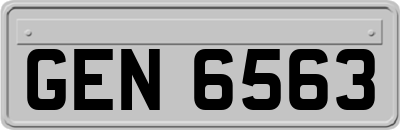GEN6563