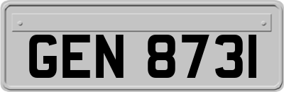 GEN8731