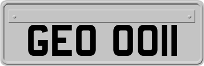 GEO0011
