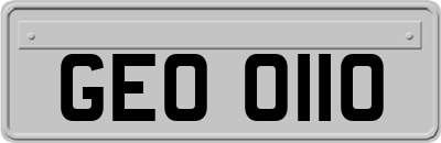 GEO0110