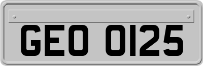 GEO0125