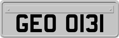 GEO0131