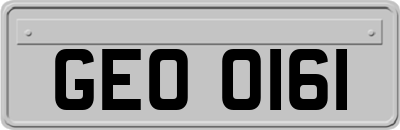 GEO0161