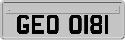GEO0181