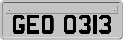GEO0313