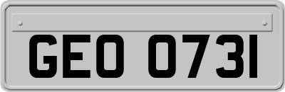 GEO0731