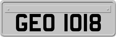 GEO1018