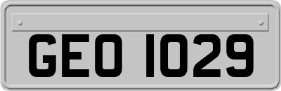 GEO1029