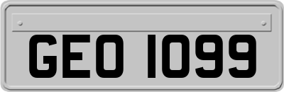 GEO1099