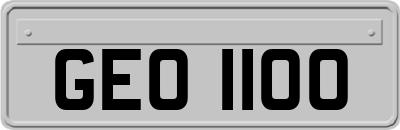 GEO1100