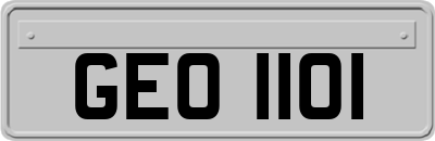 GEO1101