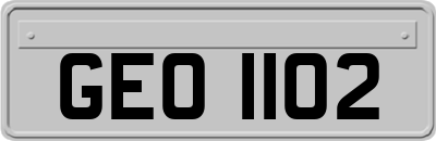 GEO1102