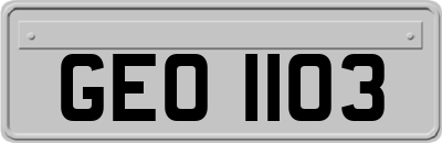 GEO1103
