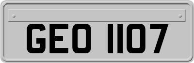 GEO1107