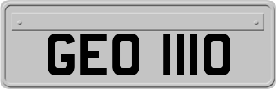 GEO1110