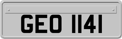 GEO1141