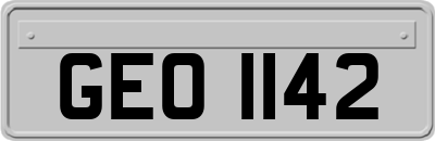 GEO1142