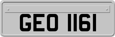 GEO1161
