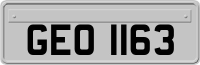 GEO1163