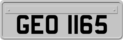 GEO1165