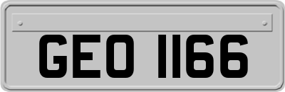 GEO1166