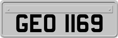 GEO1169