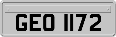 GEO1172
