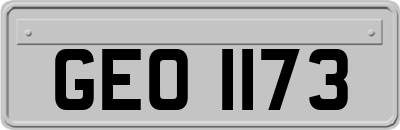 GEO1173
