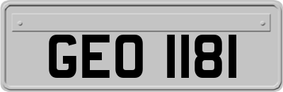 GEO1181