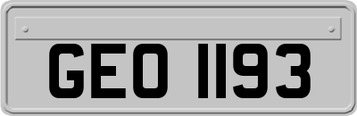 GEO1193