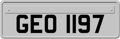 GEO1197