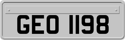 GEO1198
