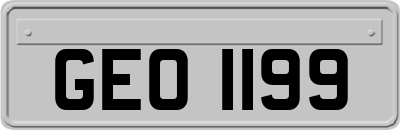 GEO1199