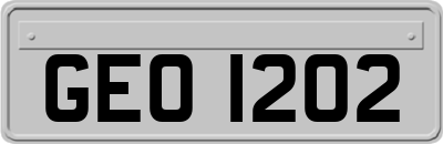 GEO1202
