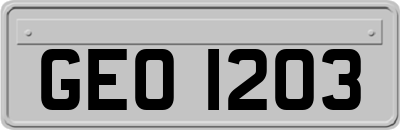 GEO1203