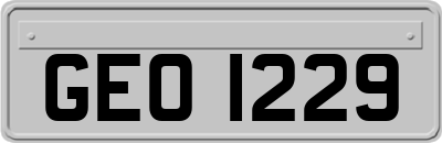 GEO1229