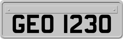 GEO1230
