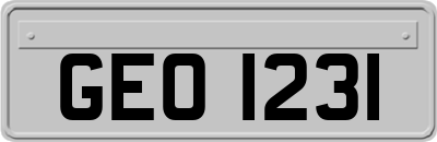 GEO1231