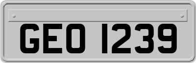 GEO1239
