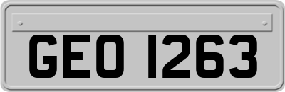 GEO1263