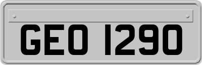 GEO1290