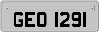 GEO1291