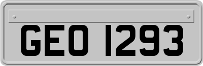GEO1293