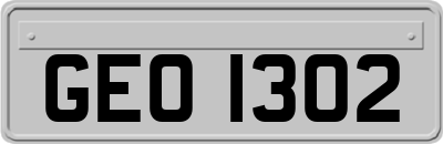 GEO1302