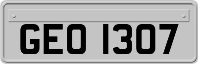 GEO1307